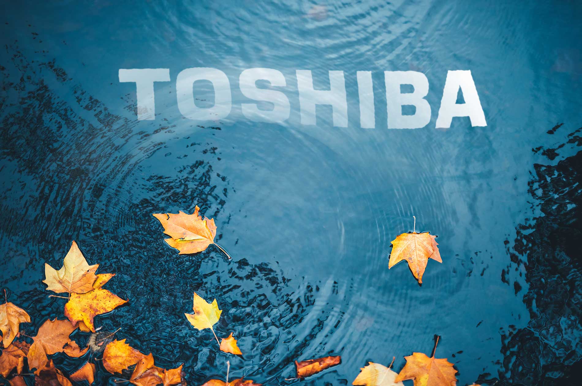 visuel7 eau feuille morte nature Toshiba RSE