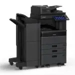 eS4528A_DSDF_LCF_1113_R_LT