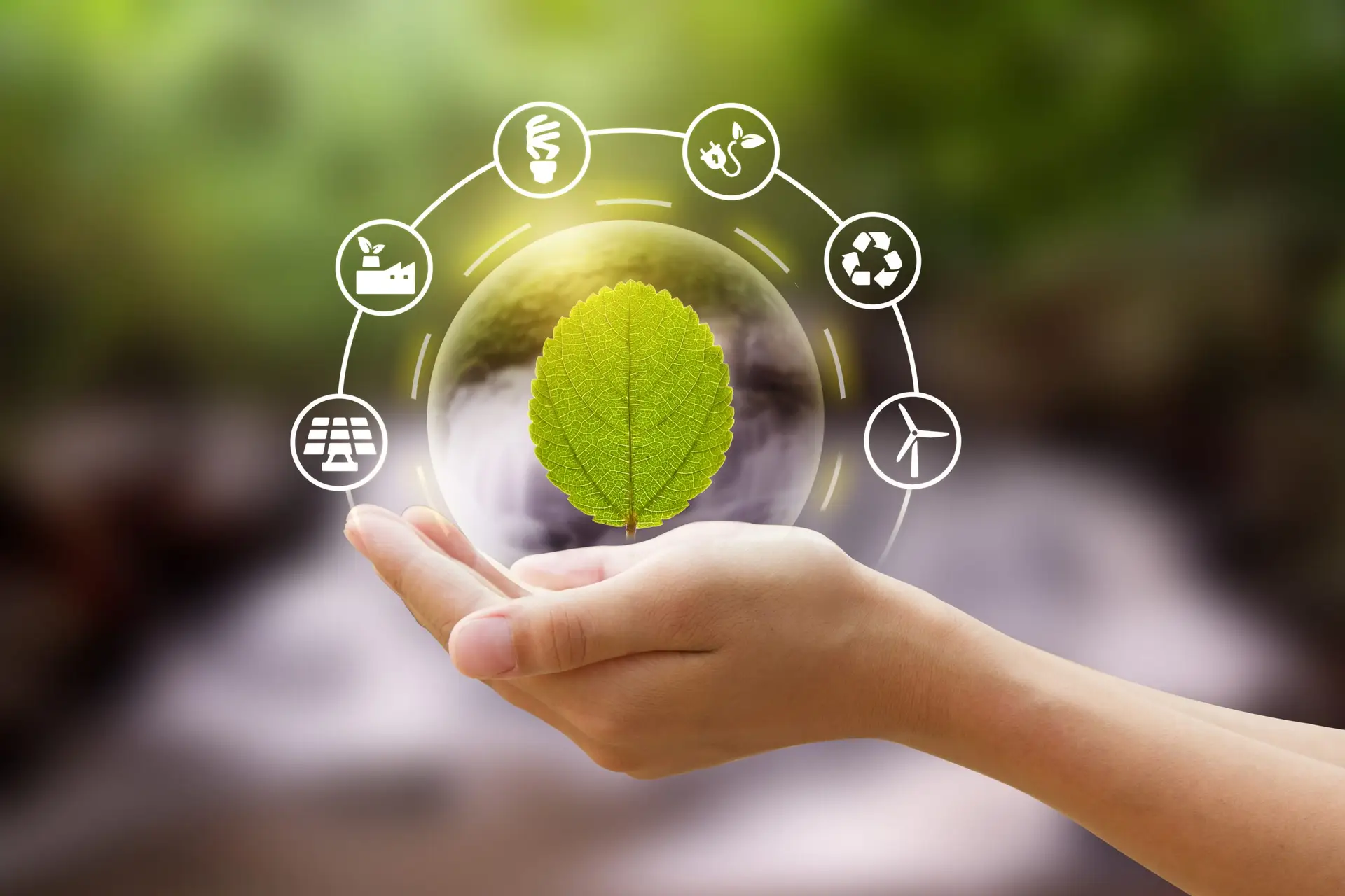 Transformation digitale de l'industrie verte