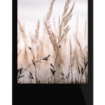 Totem Horizon tactile 55’’ Indoor